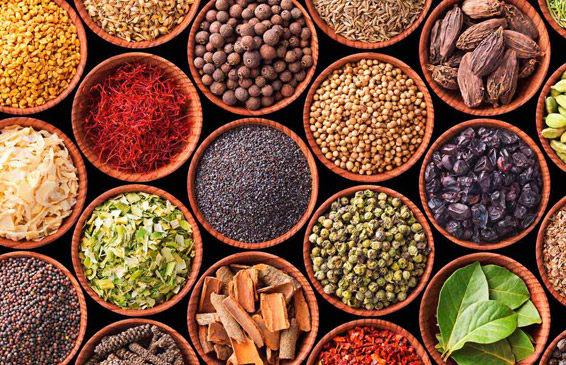 Сайт компании Dan Molle